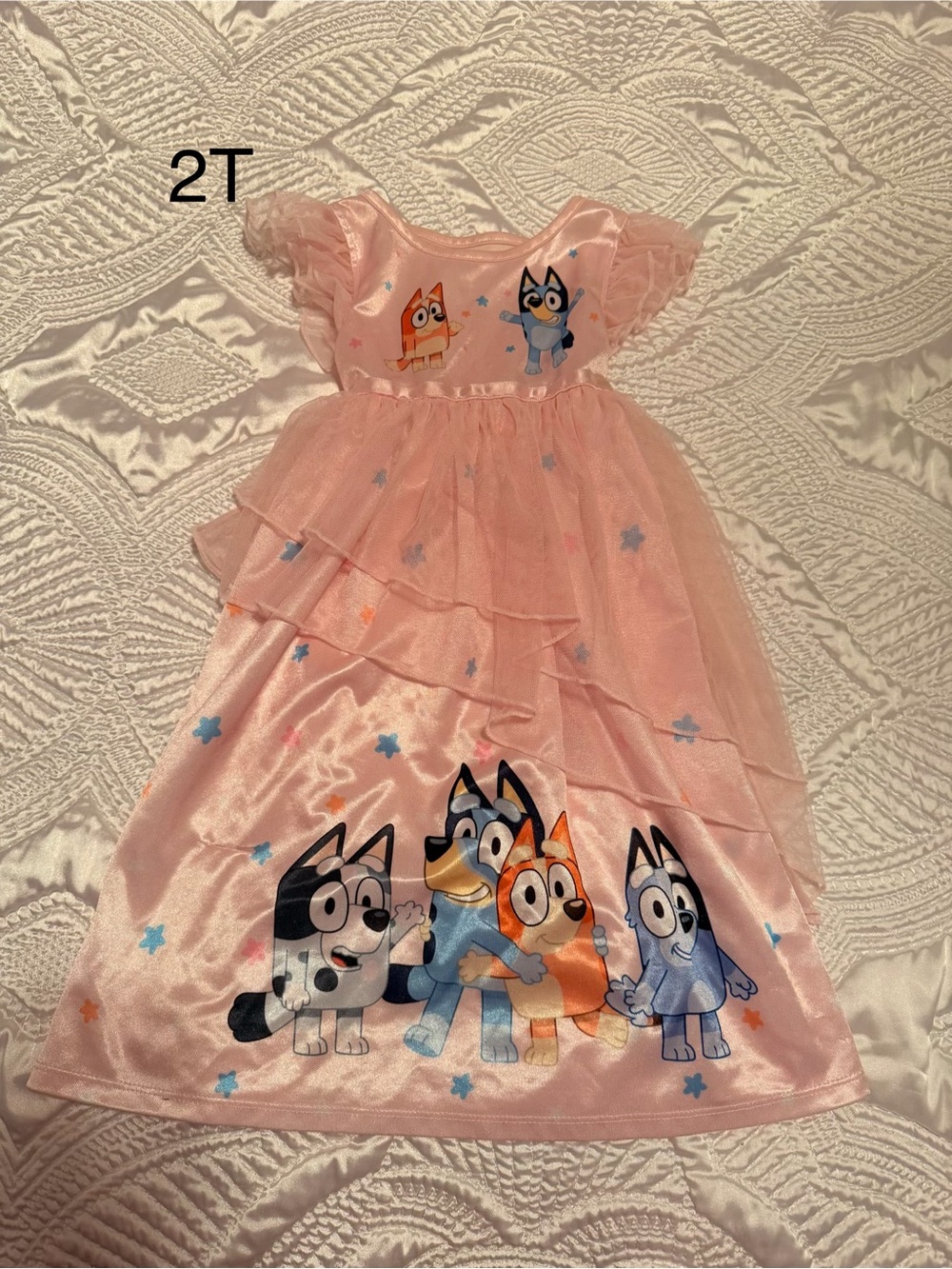 Disney Pink Bluey Character Tulle Nightgown